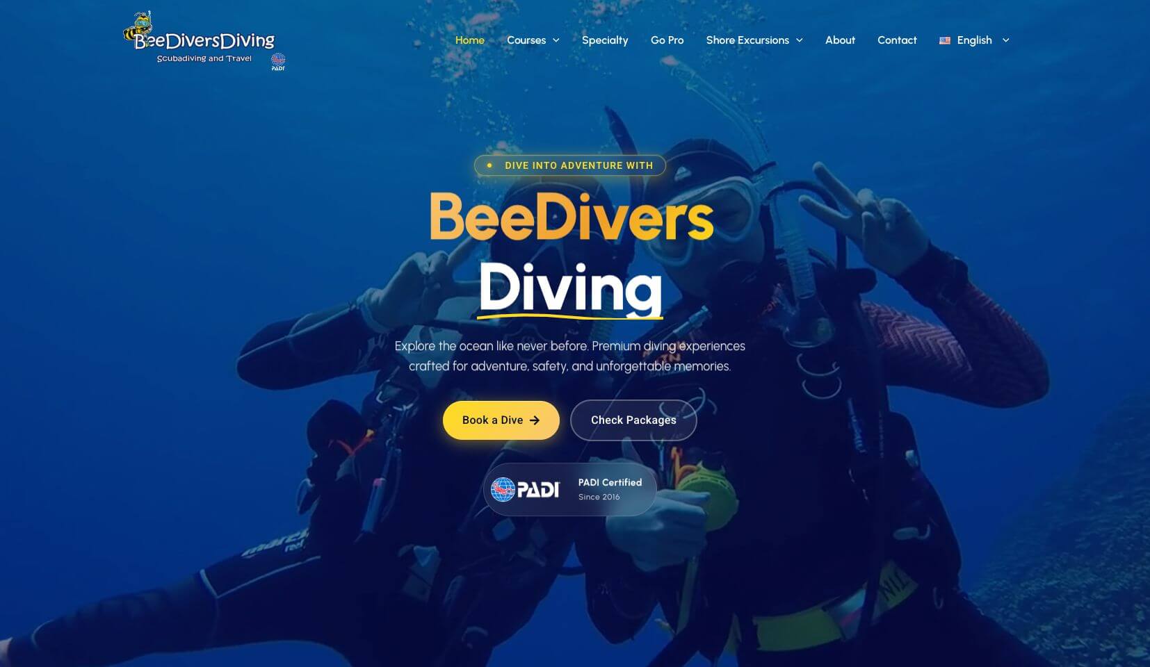 Bee Divers Diving